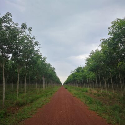 caso de éxito - caucho velzagro - fertilizantes líquidos