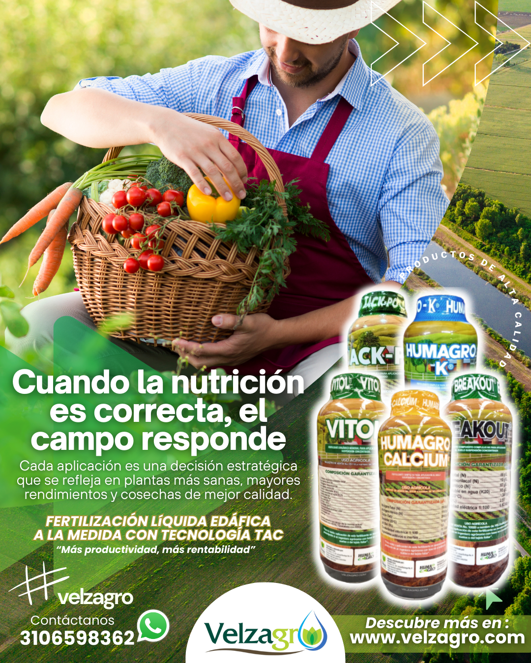 Cuando la nutrición es correcta, el campo responde VELZAGRO